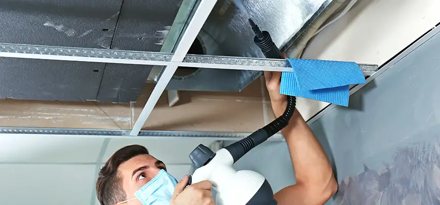 Our Air Duct Rodent Removal Services in Aurora, OH