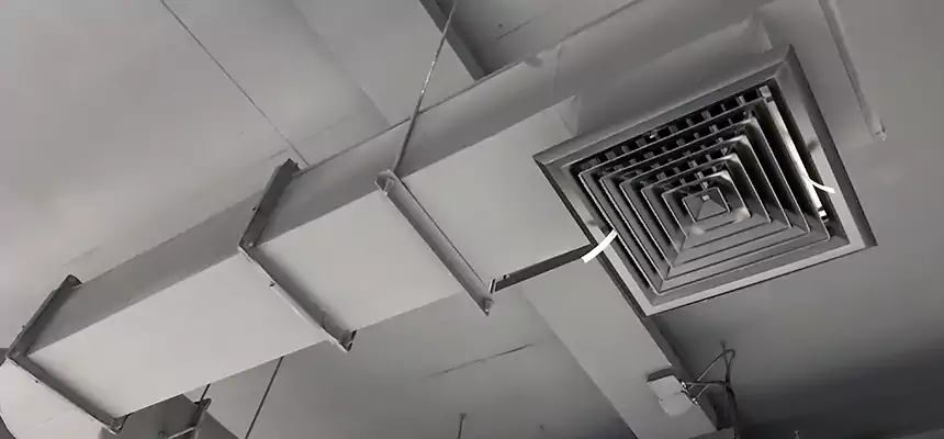 Our Pest Removal From Ducts Services in Aurora, OH