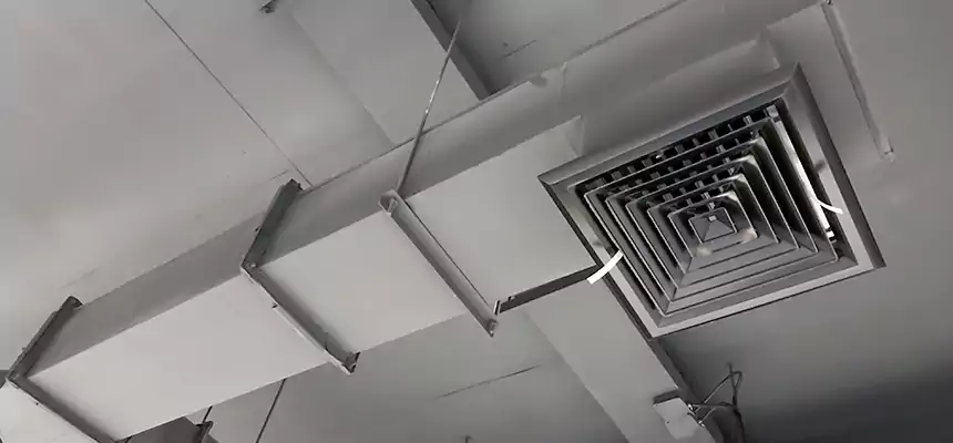 Our Rodent Droppings In Vents Services in Aurora, OH