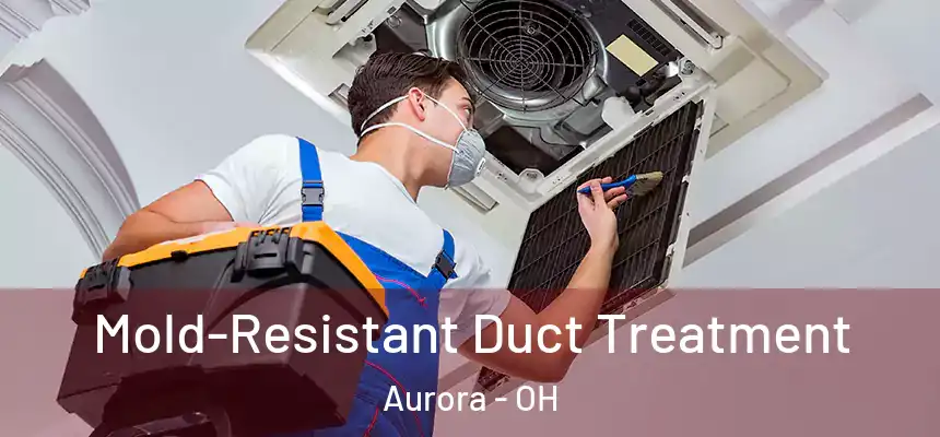  Mold-Resistant Duct Treatment Aurora - OH