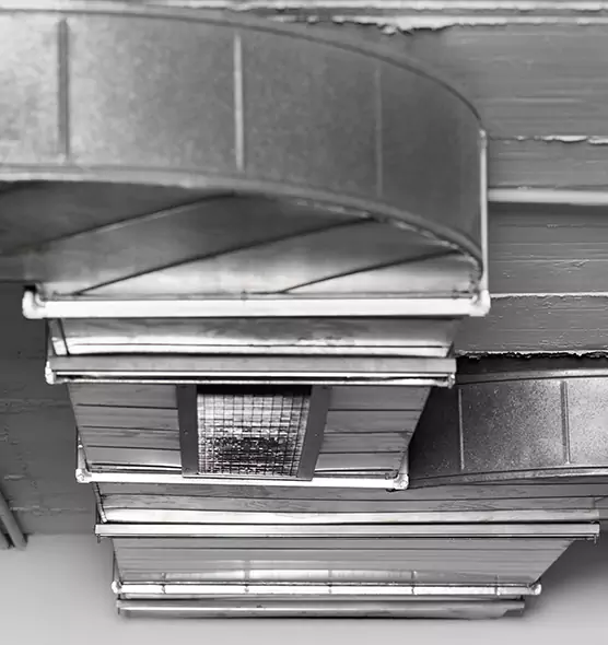 Professional Air Duct Pest Removal in Aurora, OH