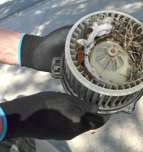 About Air Duct Rat Removal in Aurora, OH