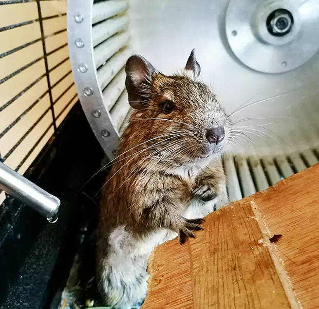 Why Homeowners & Businesses Trust Us Aurora, OH?